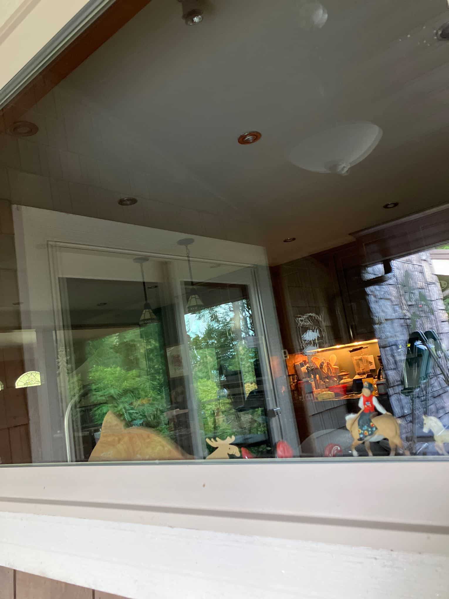 reflection from glass after window cleaning service in Index, WA