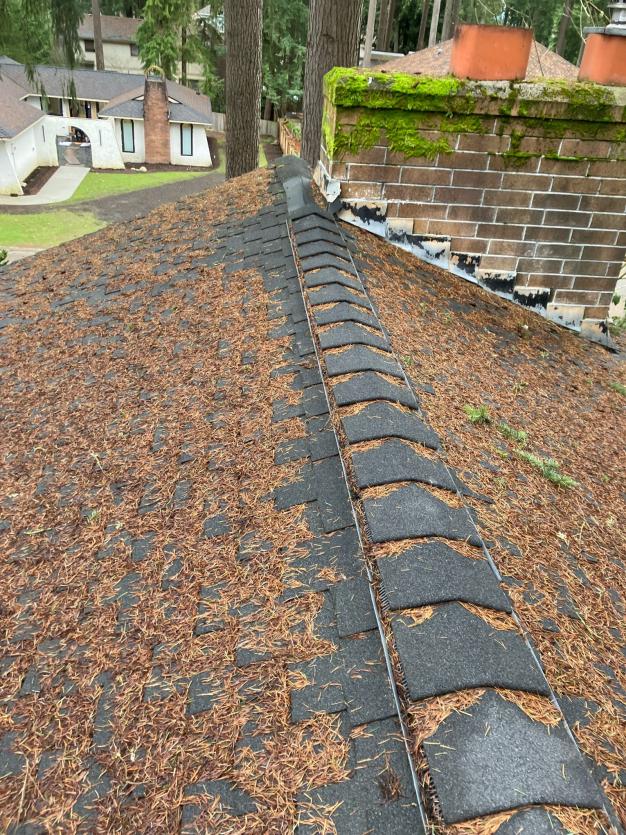 Seattle area home with debris present. Roof cleaned two times a year.