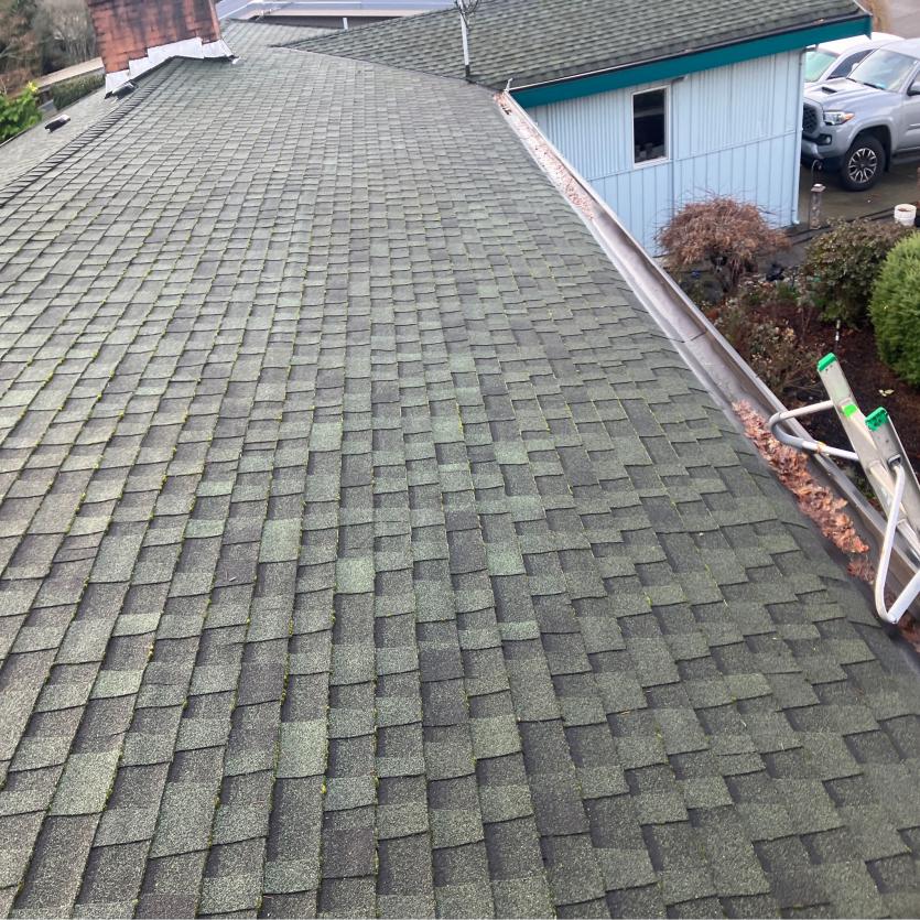 When Is the Best Time to Clean Roofs in Seattle area shingled roof