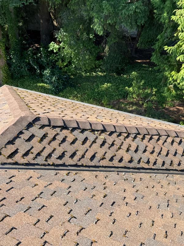 Steep roof cleaning service prvided Granite Falls, WA
