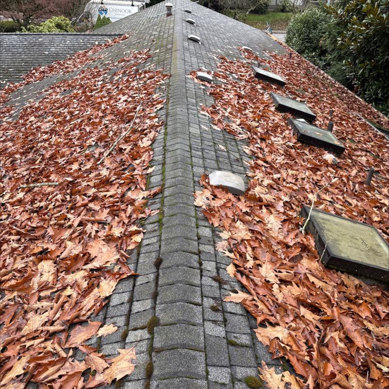 Roof with Leaves cleaned after fall