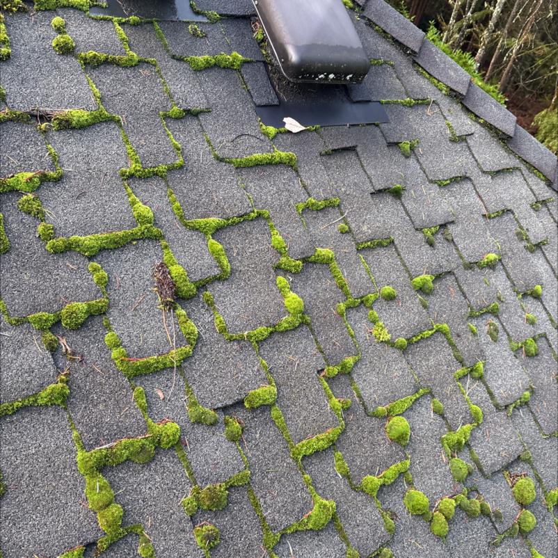 Getting rid of moss from Seattle roofs. A guide for Seattle homeowners