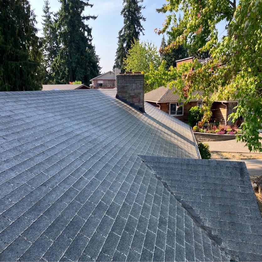 Marysville area roof cleaning service after soft wash moss removal