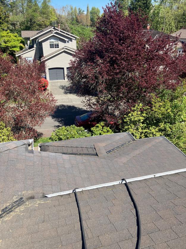 Asphalt shingled roof cleaning with moss soft wash removal in Lynnwood, WA
