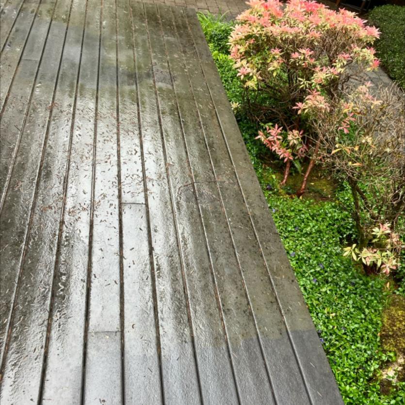 Alki Beach pressure washing (1)