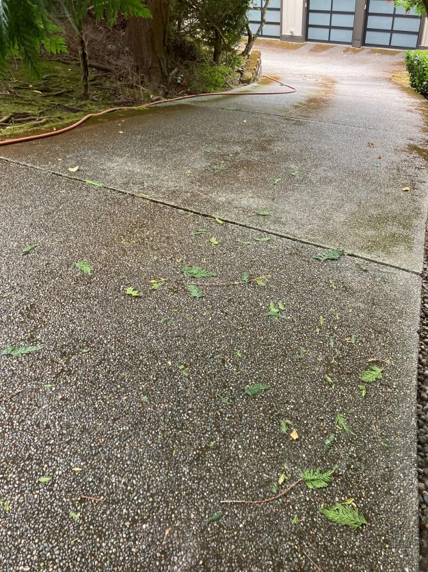 Before pressure washing driveway Alki Beach