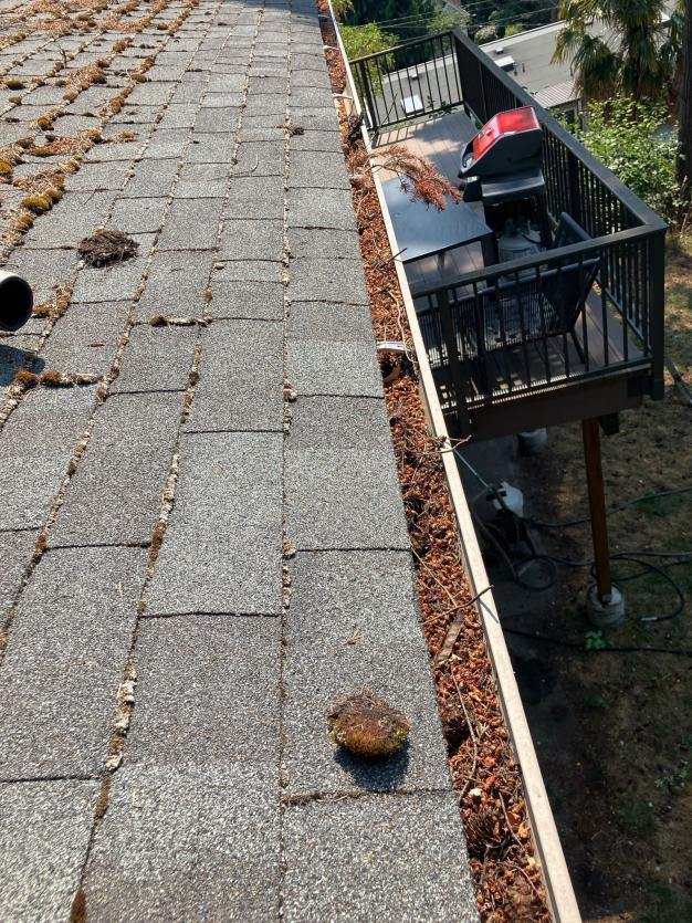 Before service gutter cleaning in Alki Beach community.