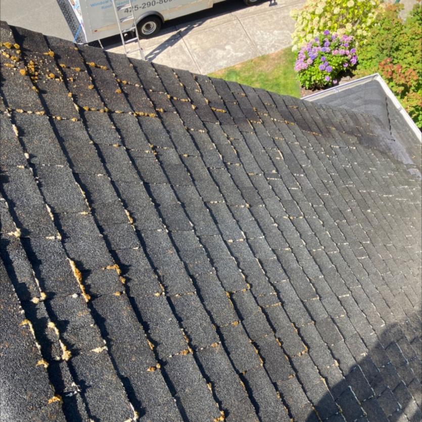 Moss covered roof in Ames Lake