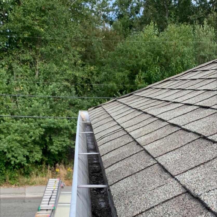 Bear Creek gutter cleaning (1)