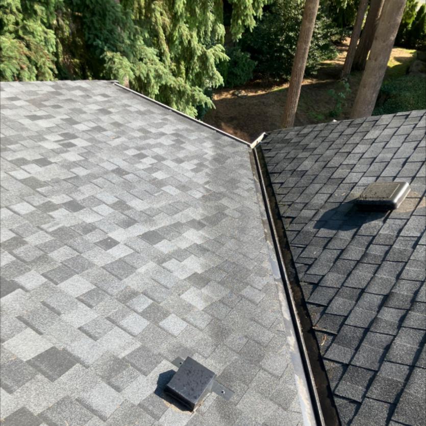 Roof debris blown using blower during roof cleaning services in Bear Creek