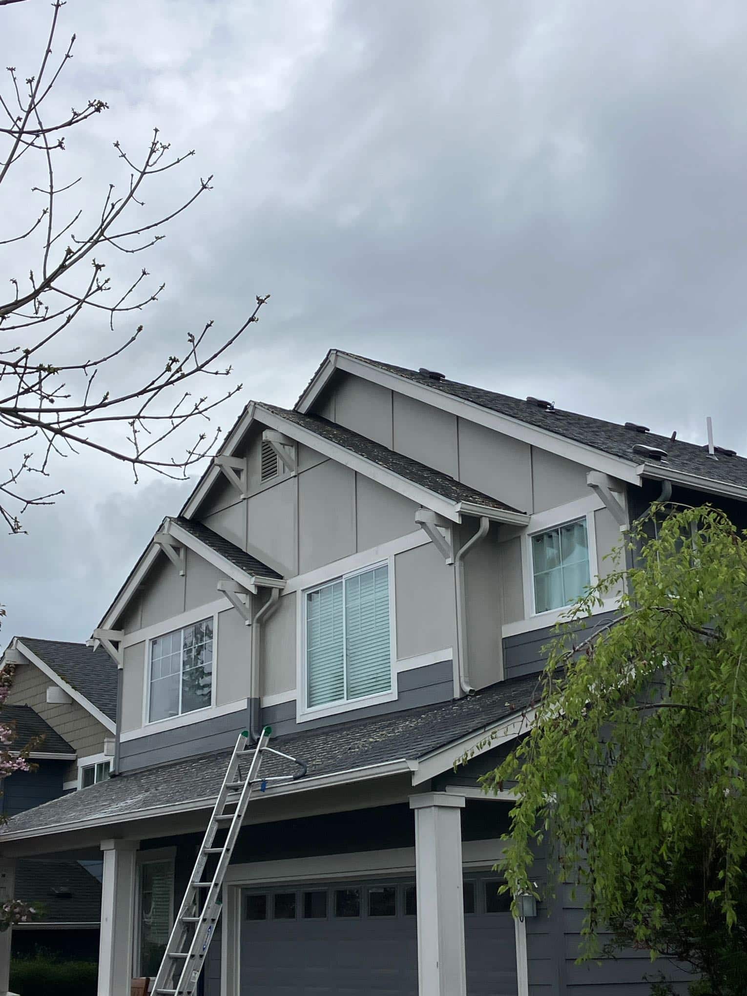 Carnation Window Cleaning (1)