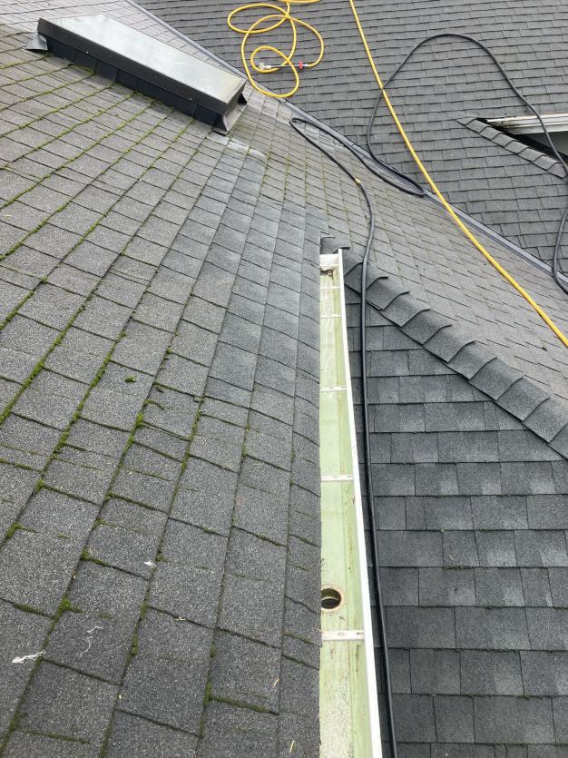 Bridle Trails gutter cleaning service hand clearing debris