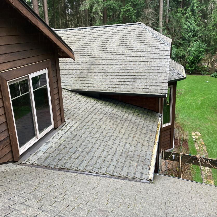 Roof cleaning company Bridle Trails