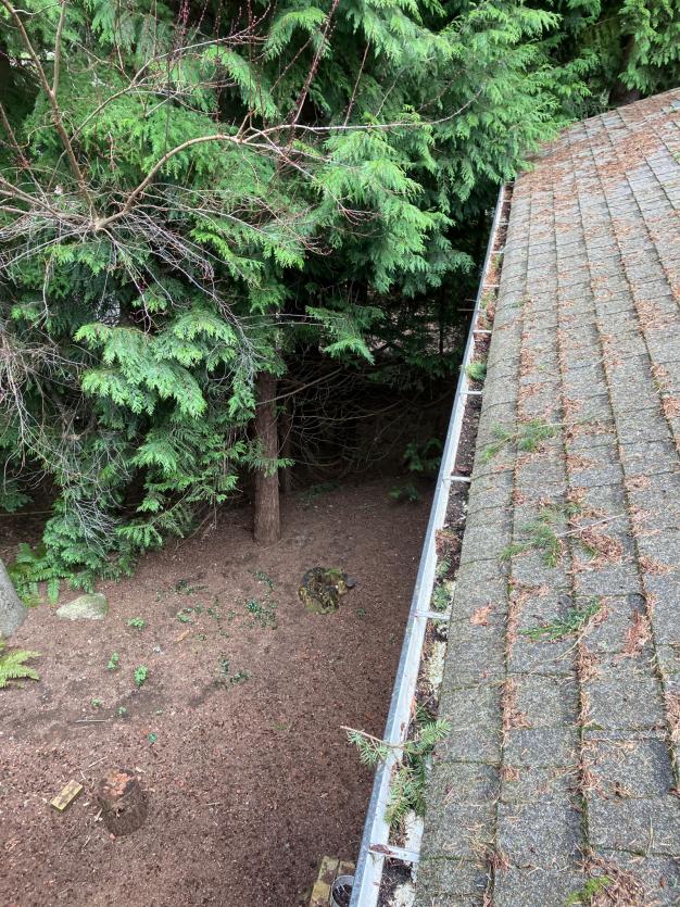 Gutter cleaning services in Carnation, WA