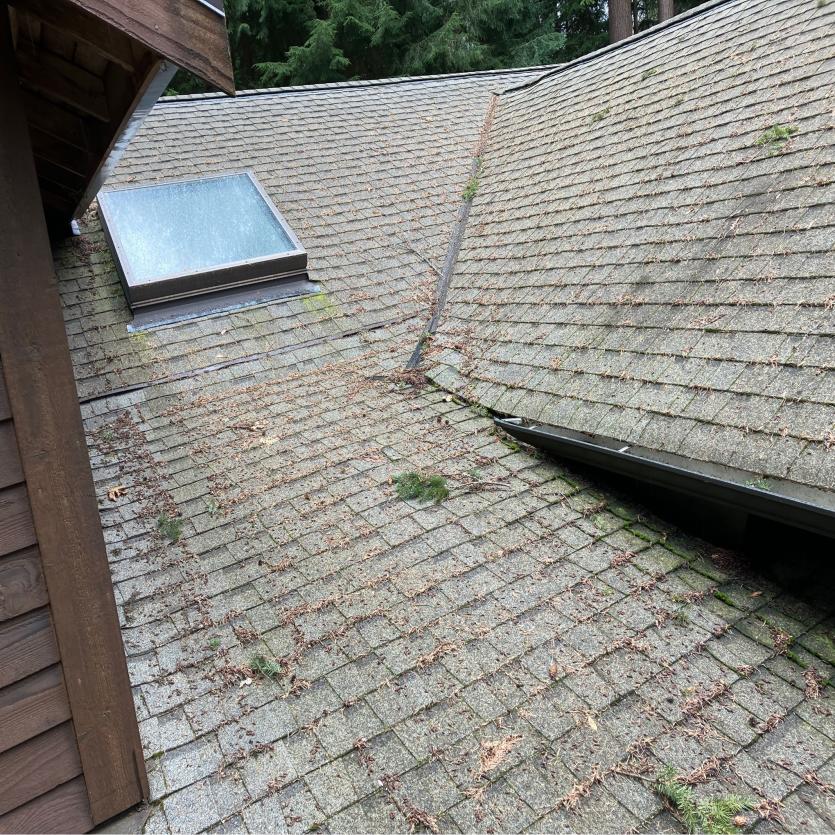 Debris covered roof before roof cleaning services in Carnation, WA