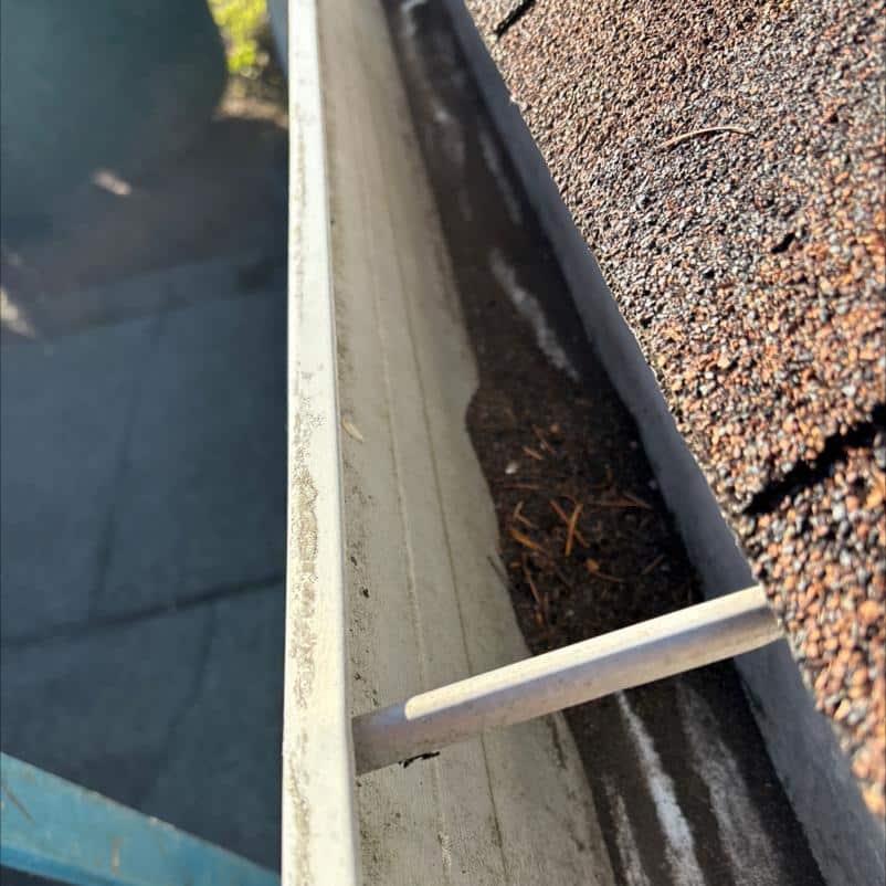 Inside a gutter during gutter cleaning services in Carnation