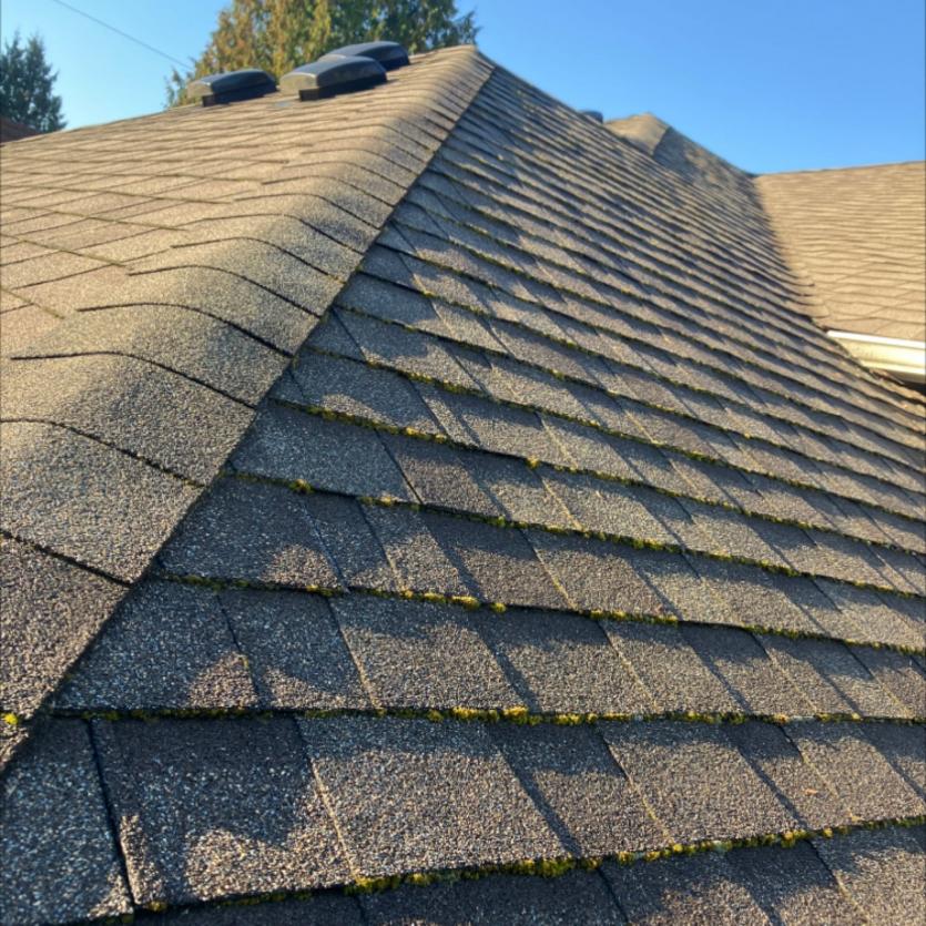 Upclose after image of Clyde Hill roof after being clown and moss removal cleaning.