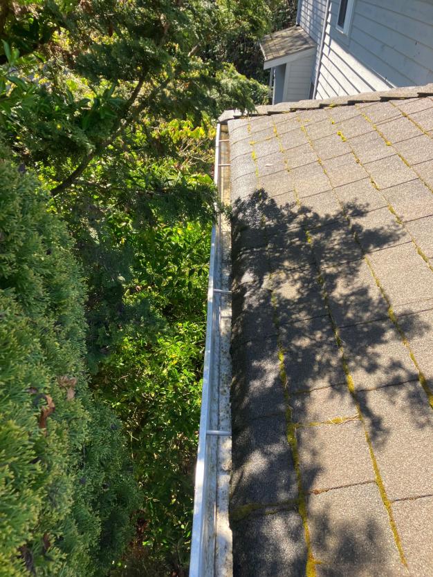 Gutters free and clear after cleaning in Clyde Hill, WA