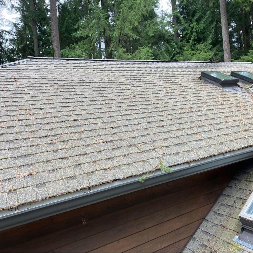 Gutter cleaning provider Cottage Lake