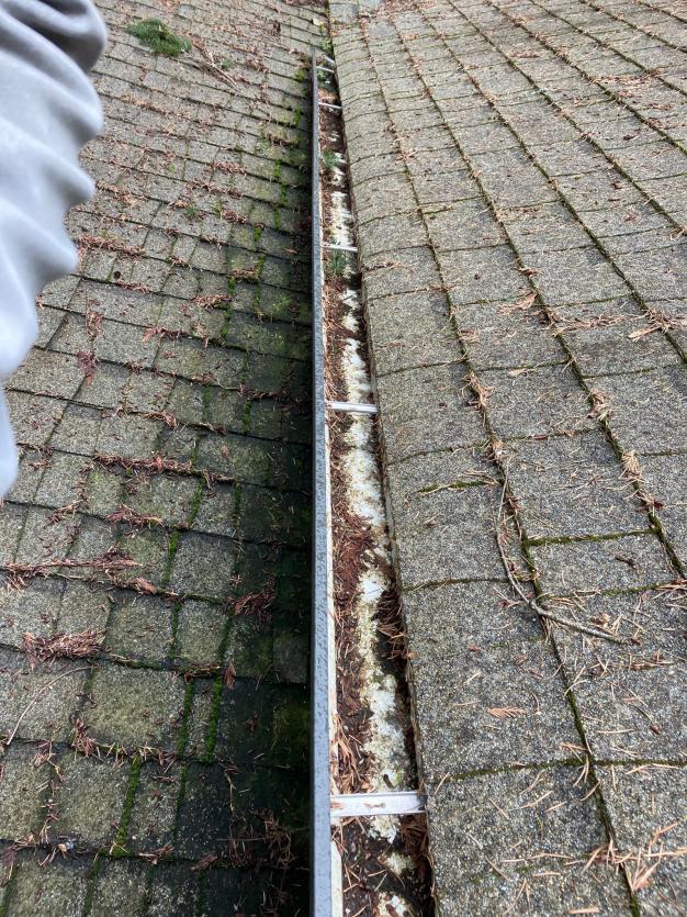 Gutter cleaning Cottage Lake home