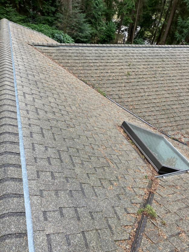 Roof cleaning Cottage Lake