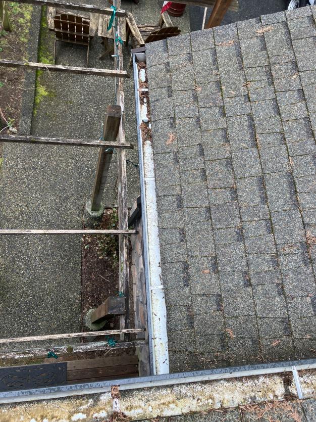 Cleaning gutters in East Gate