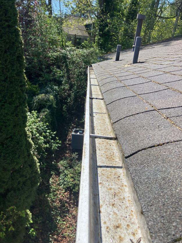 Gutter cleaning in East Gate