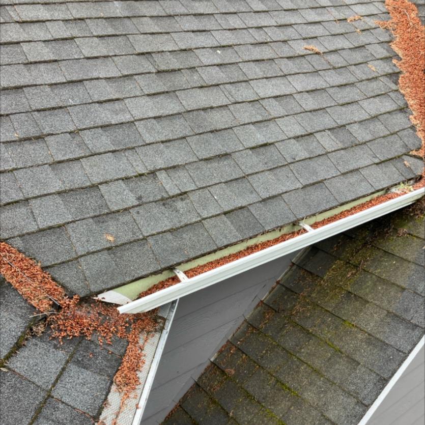 Cleaning gutters in Ballard.