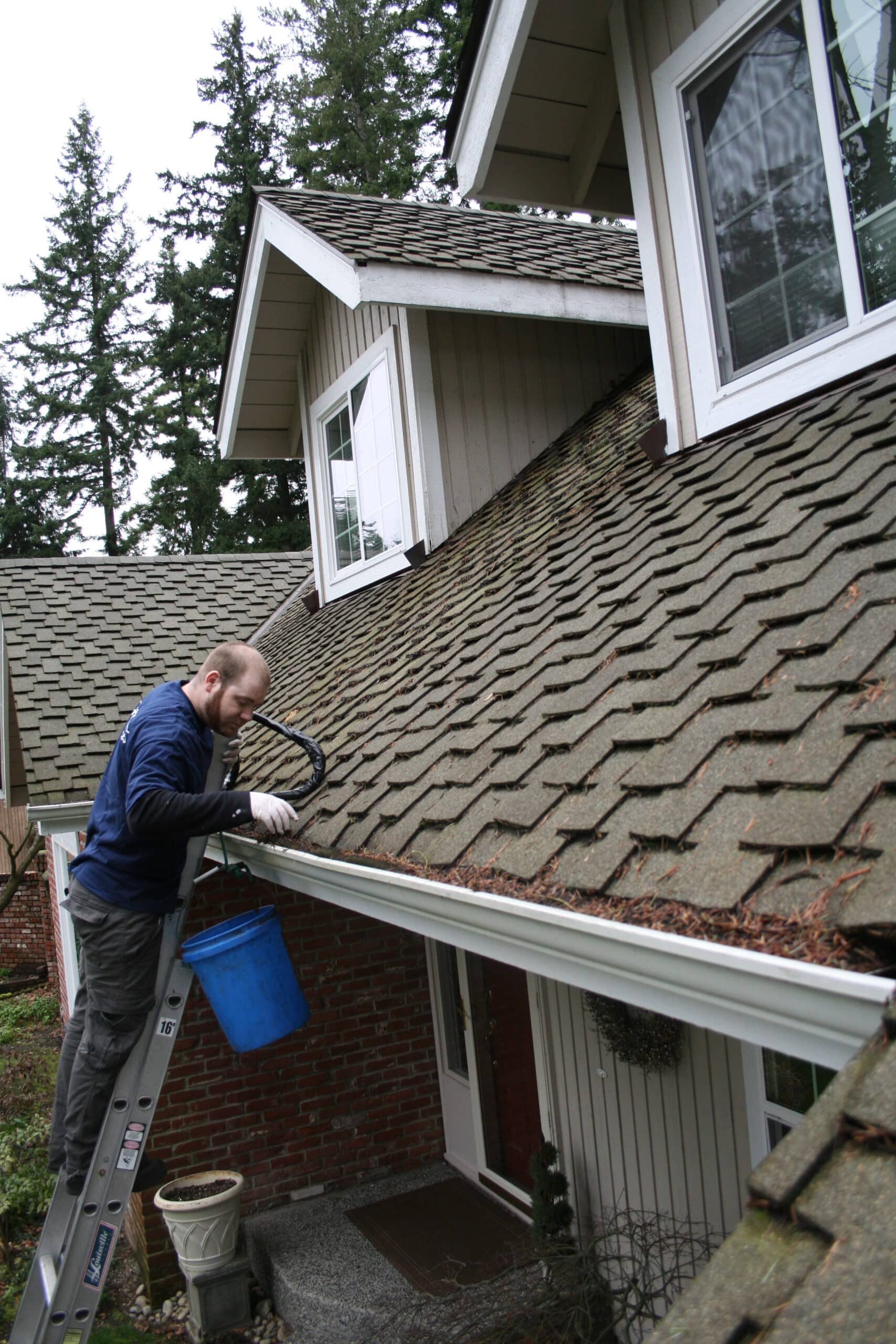 Gutter cleaning worker Beacon Hill.
