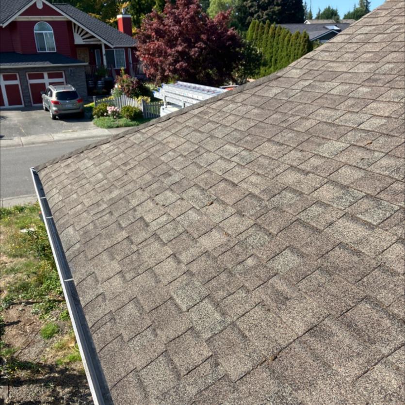 Cleaning gutters in Inglewood neighborhood in Kirkland, WA