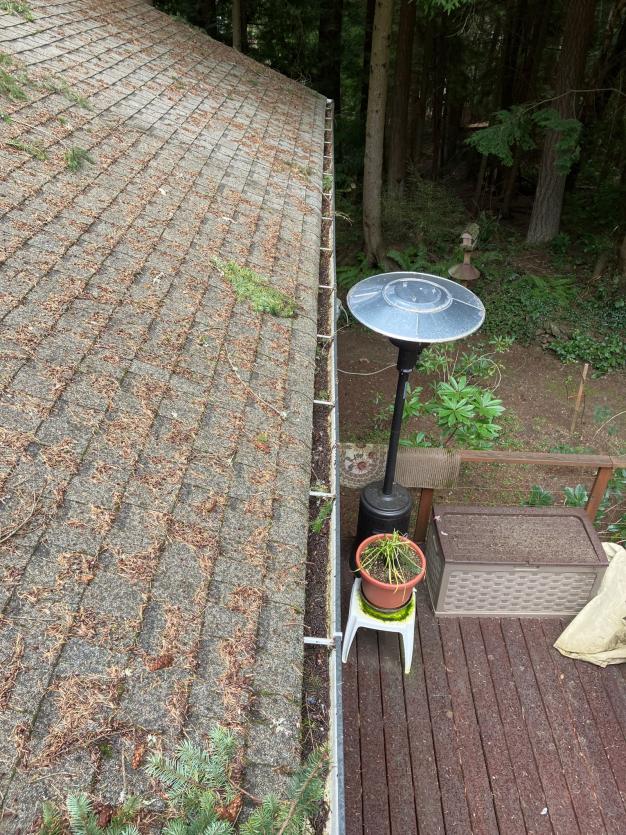 Before gutter cleaning service in Issaquah. Gutter clogged and full of debris on local home.