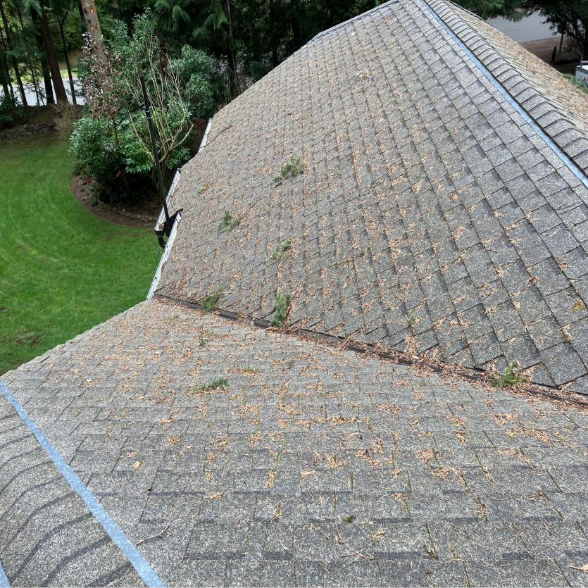 Roof cleaning company Issaquah, WA