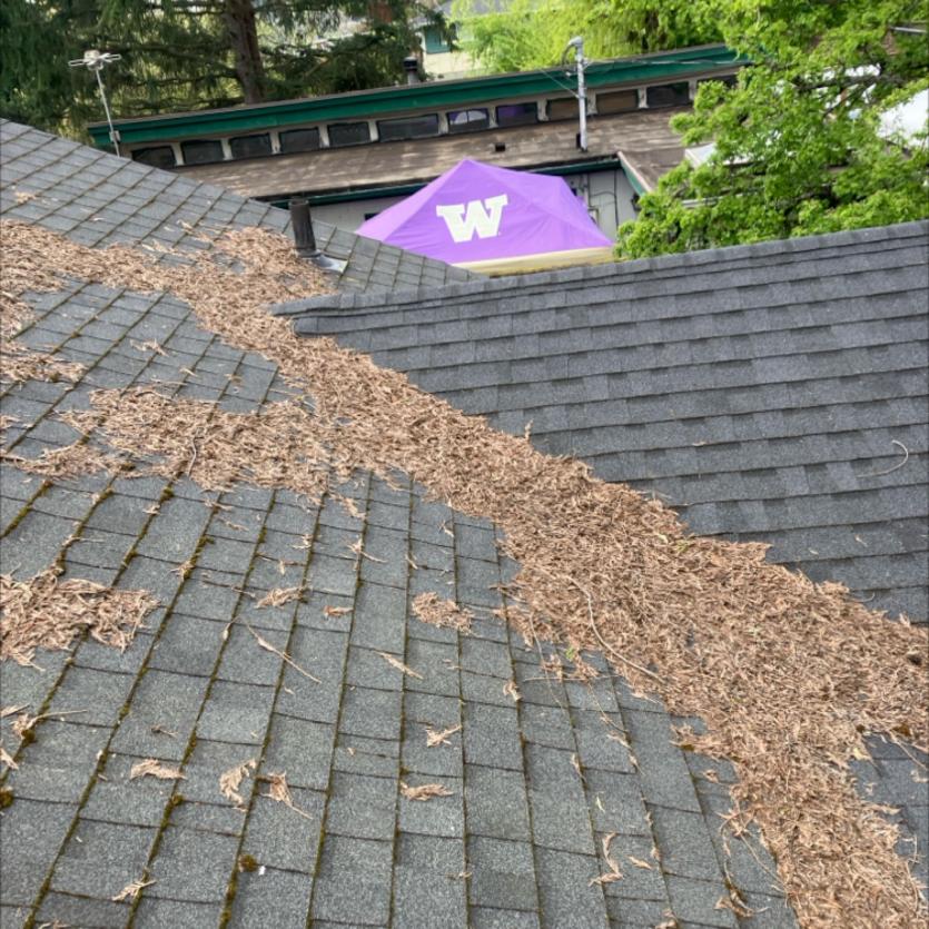 Chinook Services before roof cleaning image in Issaquah, WA on a local home.