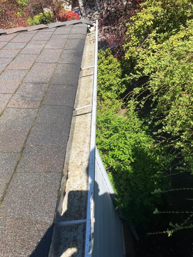 Juanita Gutter Cleaning (1)