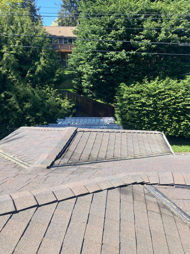 Roof cleaning in Juanita, WA. Image from roof after blowing the roof clean.