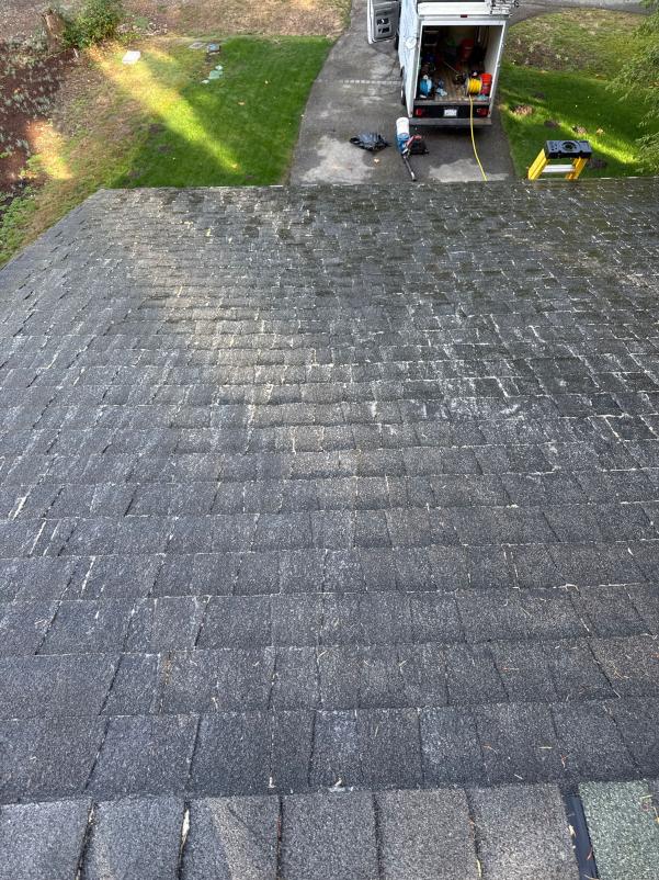 Kenmore Roof Cleaning (1)