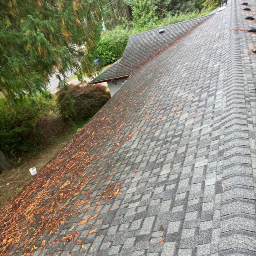 before roof cleaning service in Kenmore, WA is perfromed.