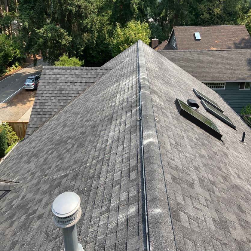 Roof cleaning and moss removal in Kinsgate