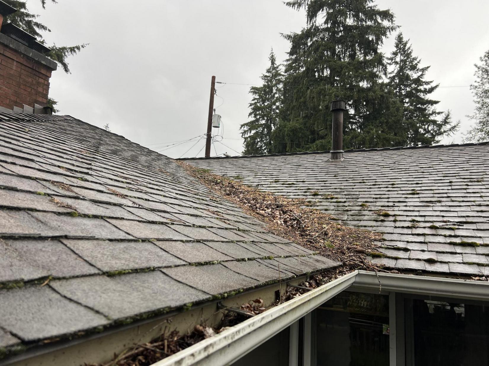 Roof cleaning in Monroe, WA heavy debris present