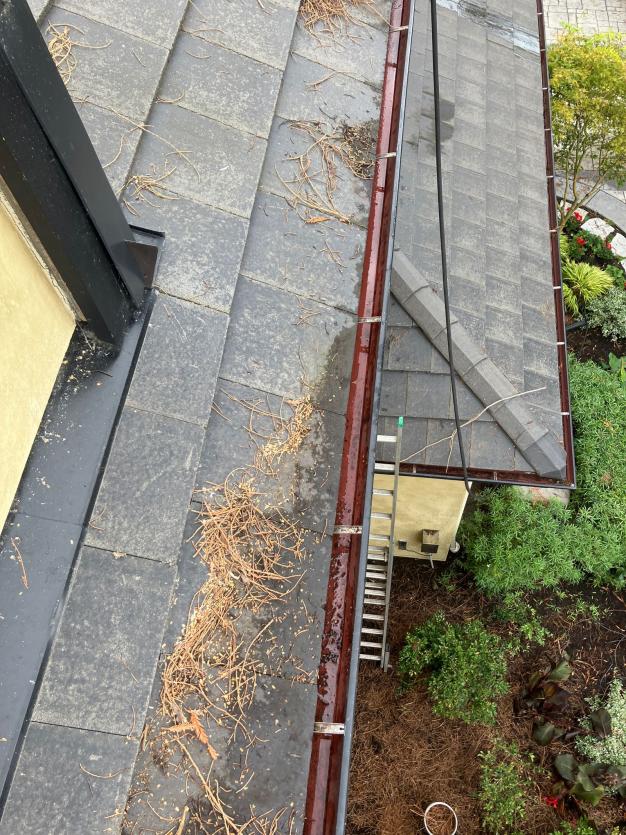 Martha Lake gutter cleaning (2)
