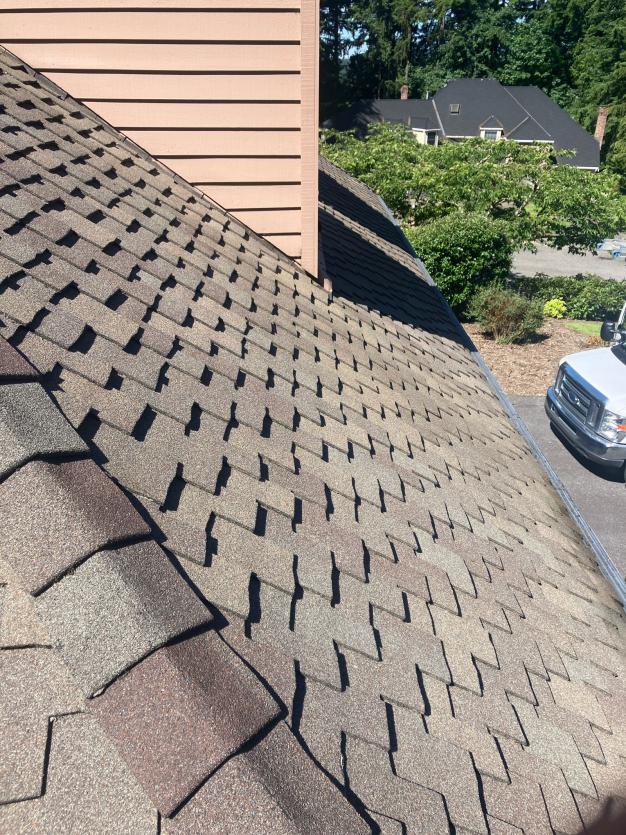 Martha Lake area homes roof shingles after a roof cleaning service provided