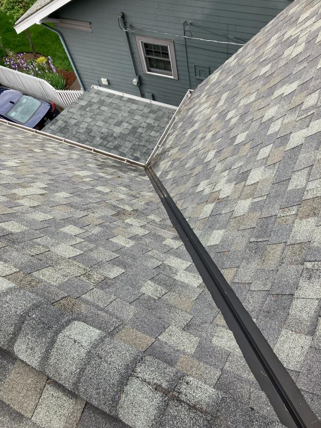 After roof cleaning service in Medina, WA