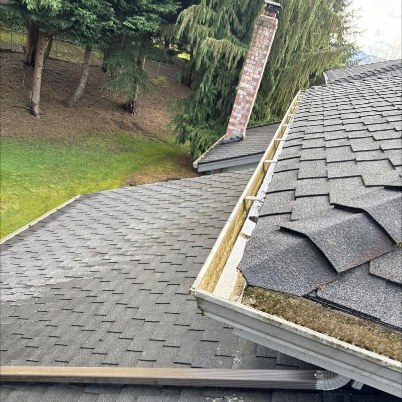 Roof cleaning asphalt shingled roof in Medina