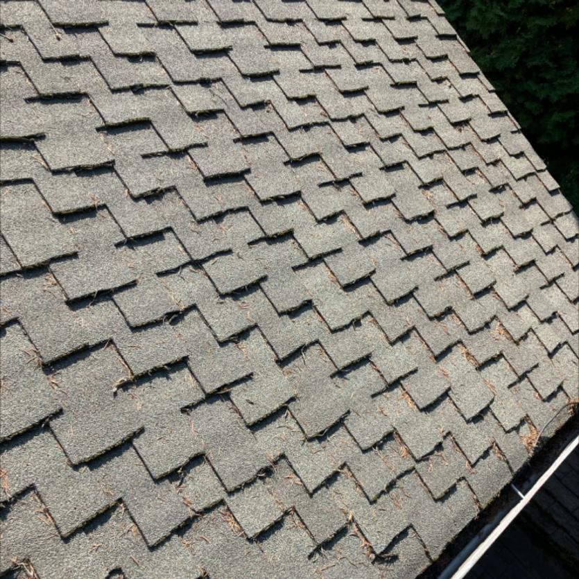 Presidential 50 year shingle roof cleaning in Mountlake Terrace, WA