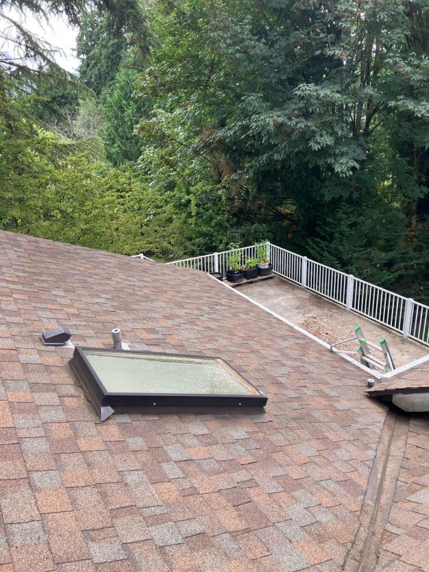 Mountlake Terrace home paired with roof cleaning