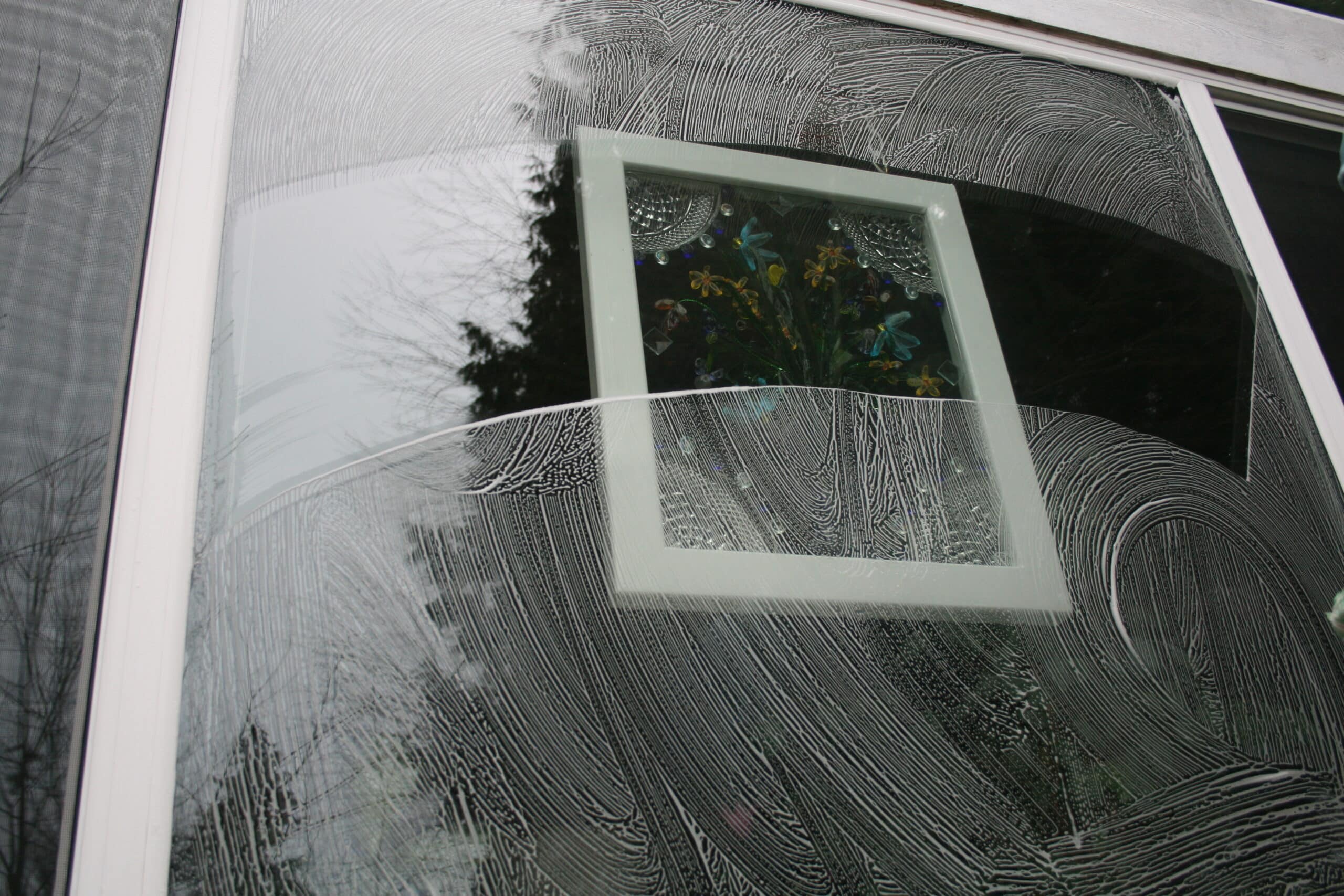 Mountlake Terrace window cleaning (1)