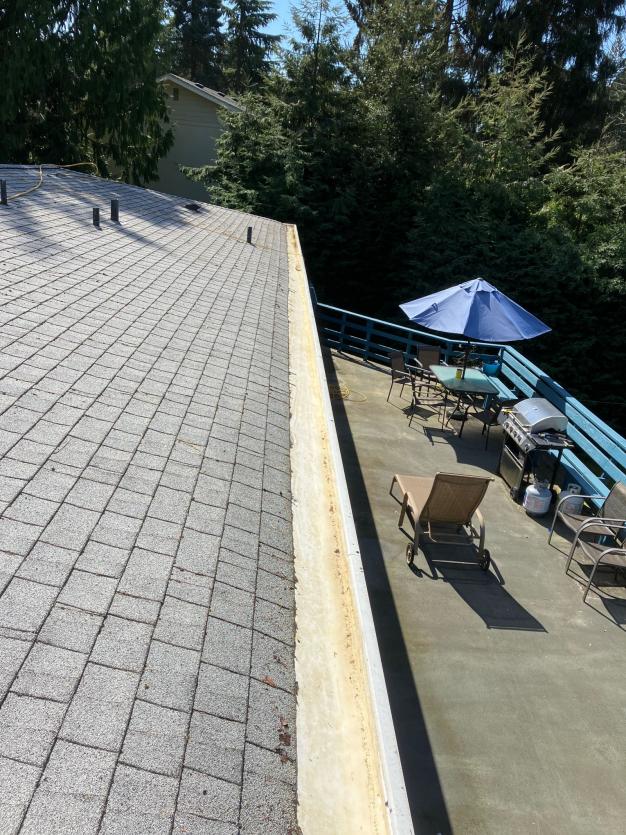 Mt Vernon gutter cleaning (2)
