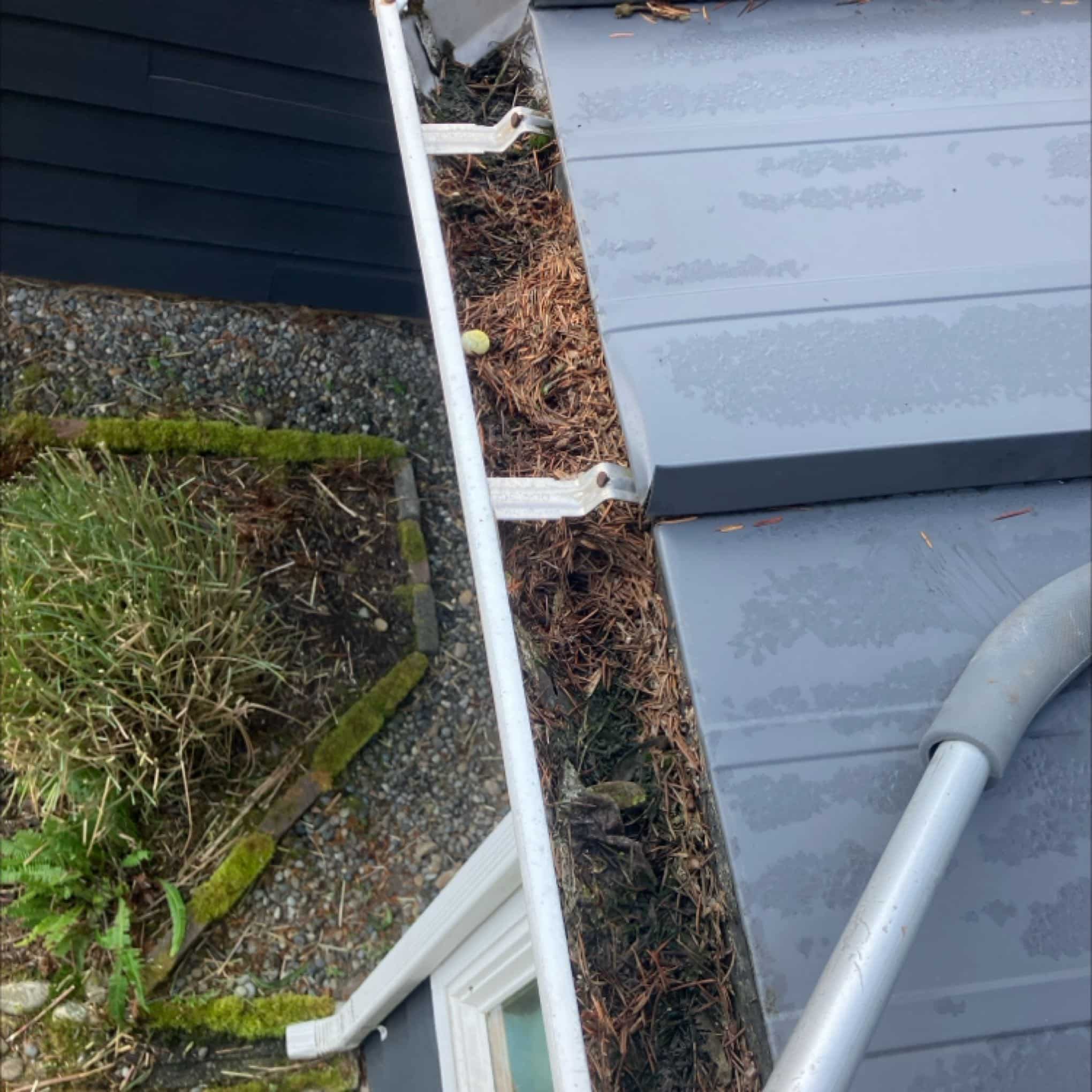 on ladder gutter cleaning in Mt Vernon, WA
