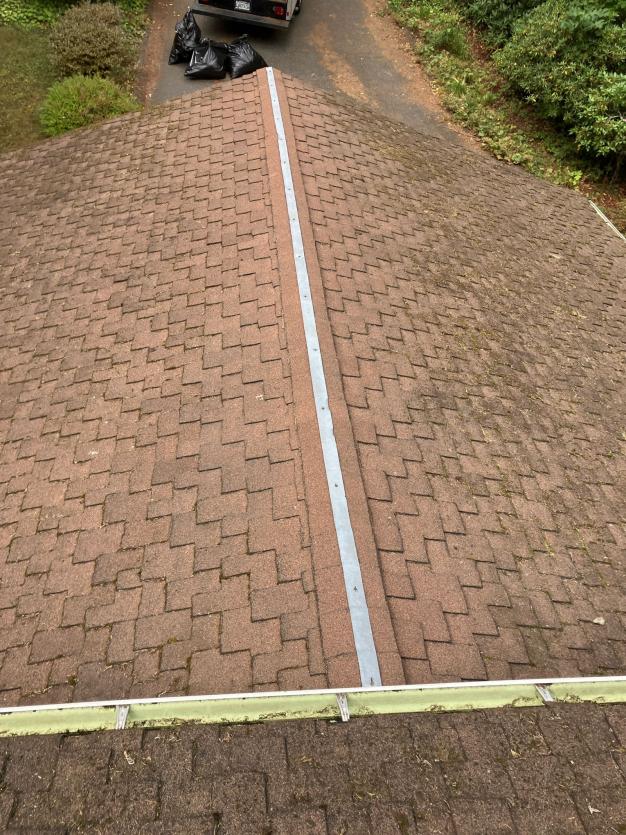 Mt Vernon roof cleaning (1)