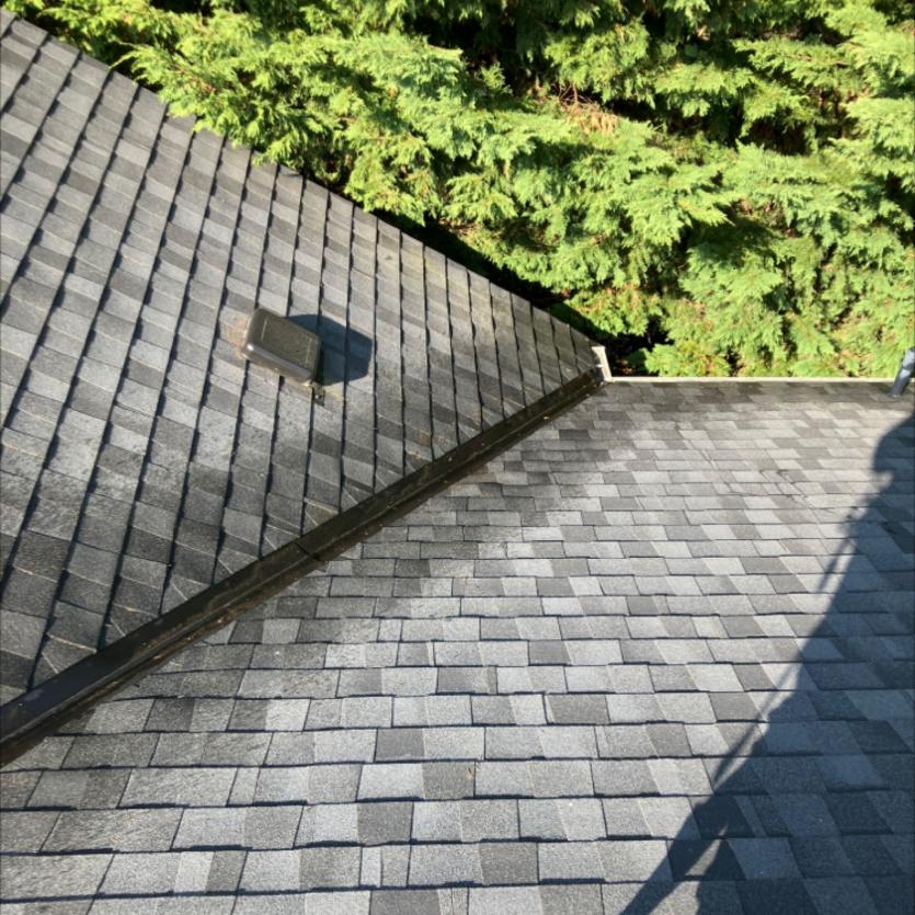 Shingles of roof removed including moss in Mt Vernon after roof cleaning services